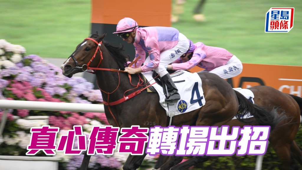 「真心傳奇」近仗開始有追勁，證明狀態逐漸到位。