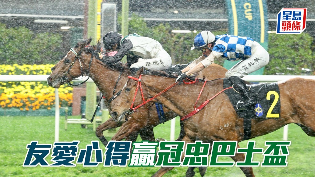 「友愛心得」贏冠忠巴士盃