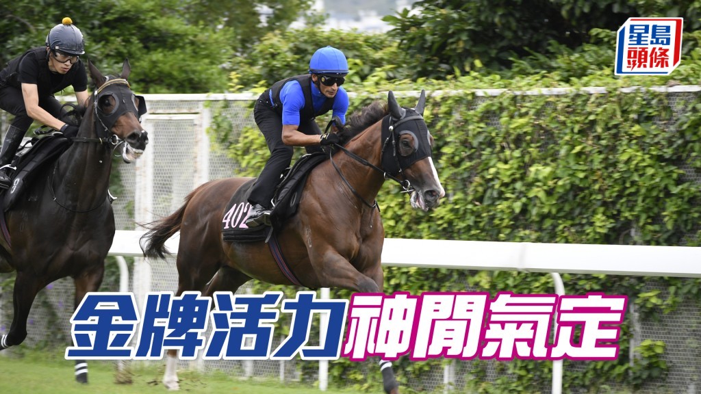 「金牌活力」落腳輕巧急勁，大熟大勇境界。