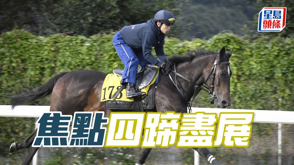 「焦點」走勢硬淨勁度充裕，弗到不得了。