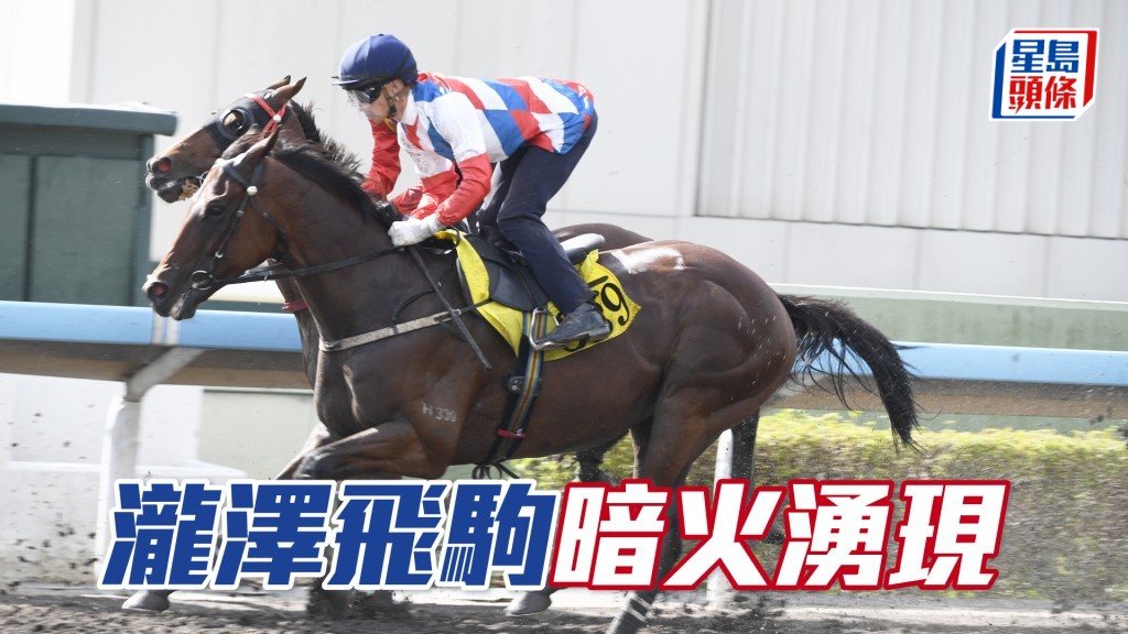 「瀧澤飛駒」步順輕巧神態暢旺，勝後勇況更盛。