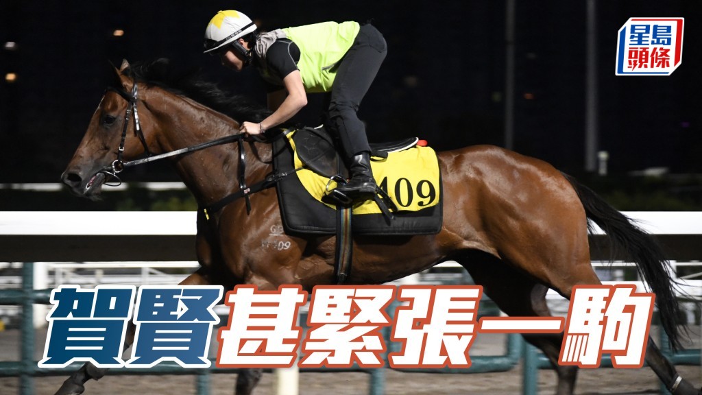 「凱旋幸運」(圖) 由黃寶妮出跳時賀賢特別緊張,整個出跳過程從未放低過望遠鏡,之後仲立即摘低操練筆記。