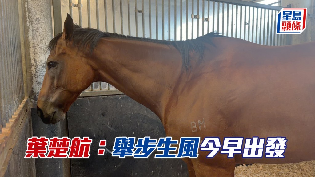 「举步生风」将于今早出发去日本。