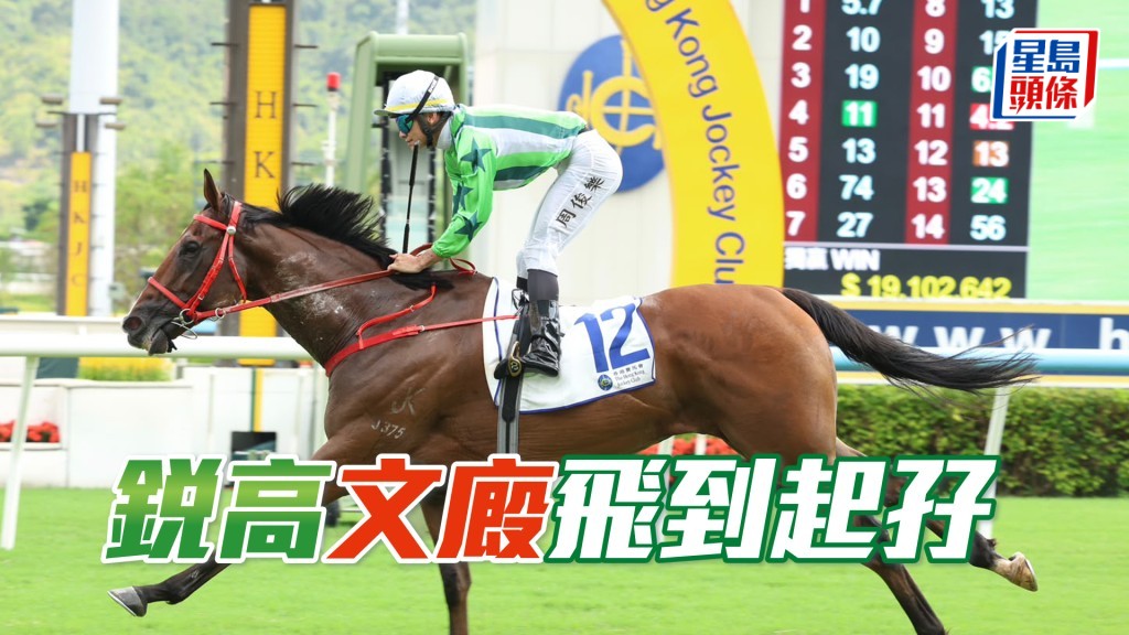 「銳高」文廄飛到起孖