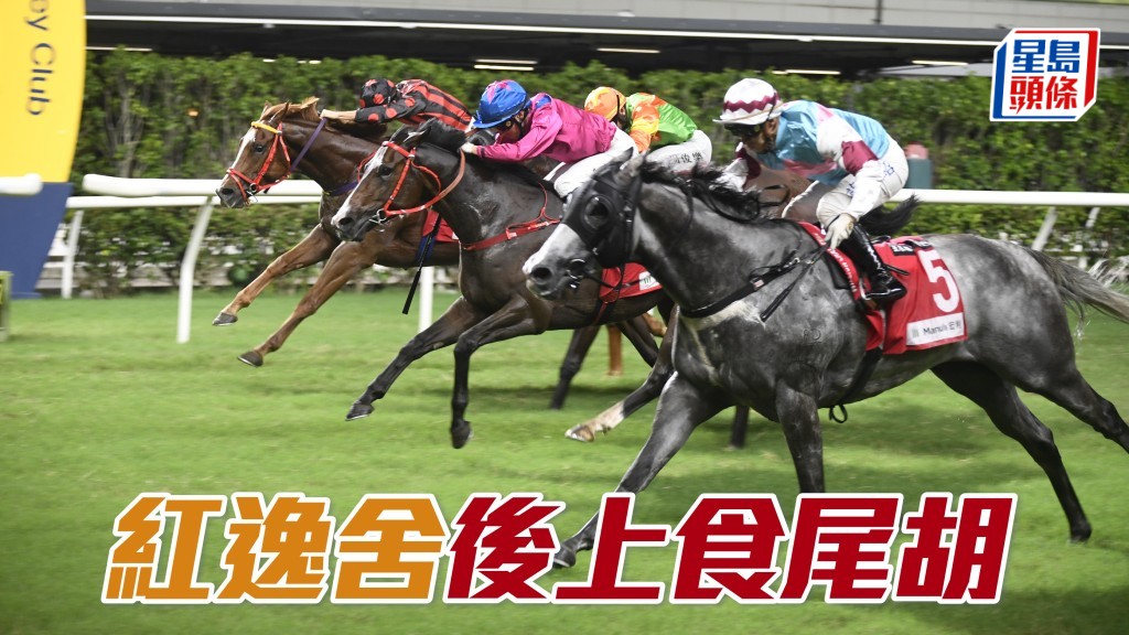 「紅逸舍」後上食尾胡