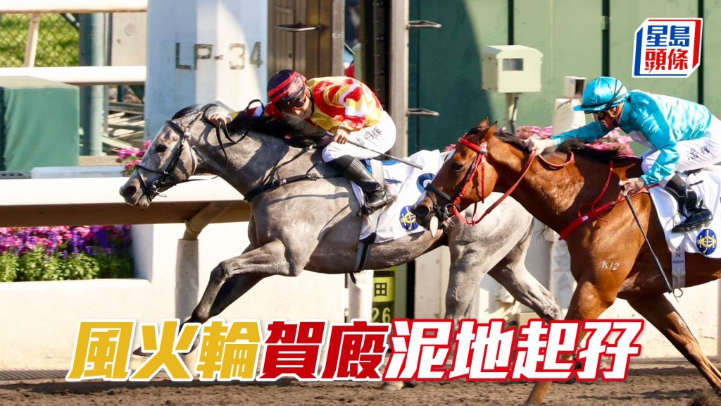 「風火輪」賀廄泥地起孖
