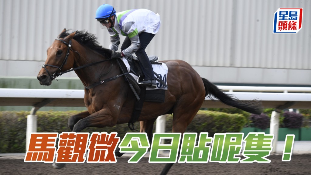 「光年魅力」今仗捲土重來，排三檔，將可大派用場。