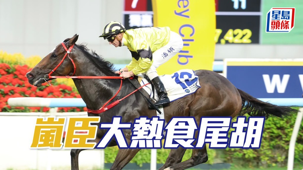 「嵐臣」大熱食尾胡