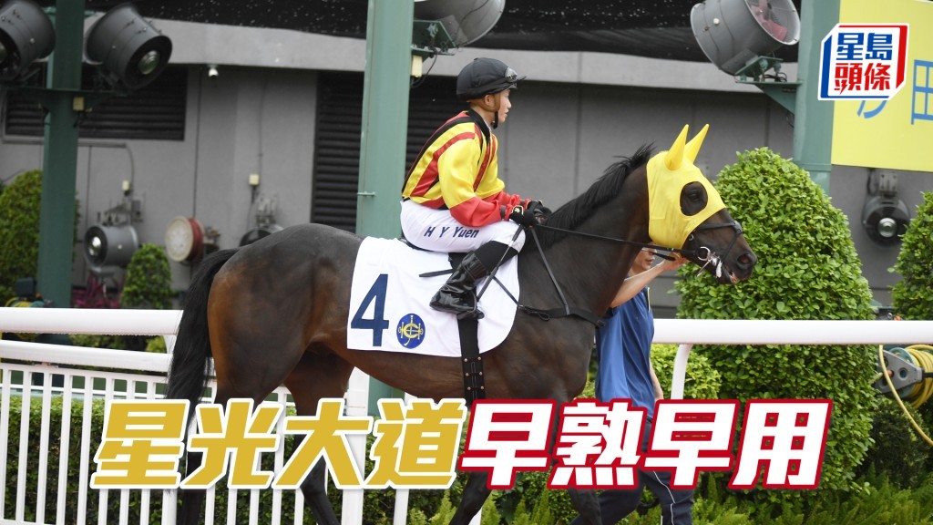 「星光大道」上仗敗在場地不利後上，今次改配布文，排外檔亦不怕。