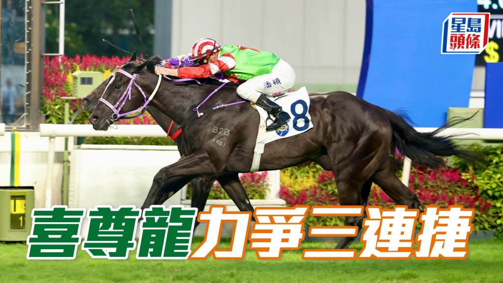 「喜尊龍」本周末續配贏馬配搭潘頓,力爭三連捷。