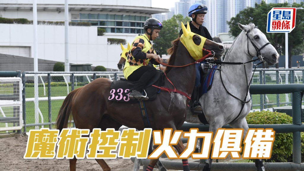 「魔術控制」神態專注，馬身保持粗壯。