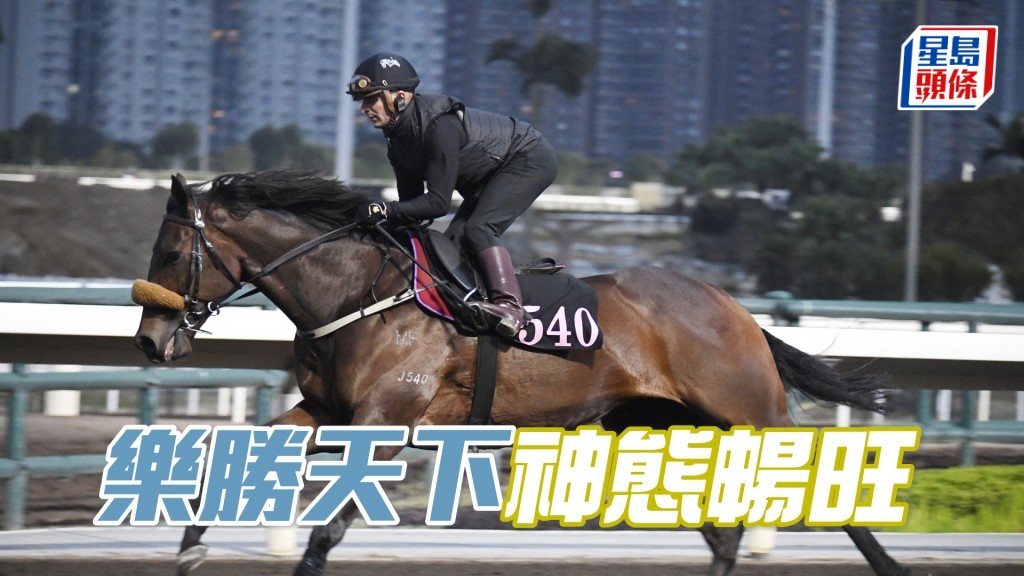  「樂勝天下」四蹄盡展彈力十足，弗到不得了。