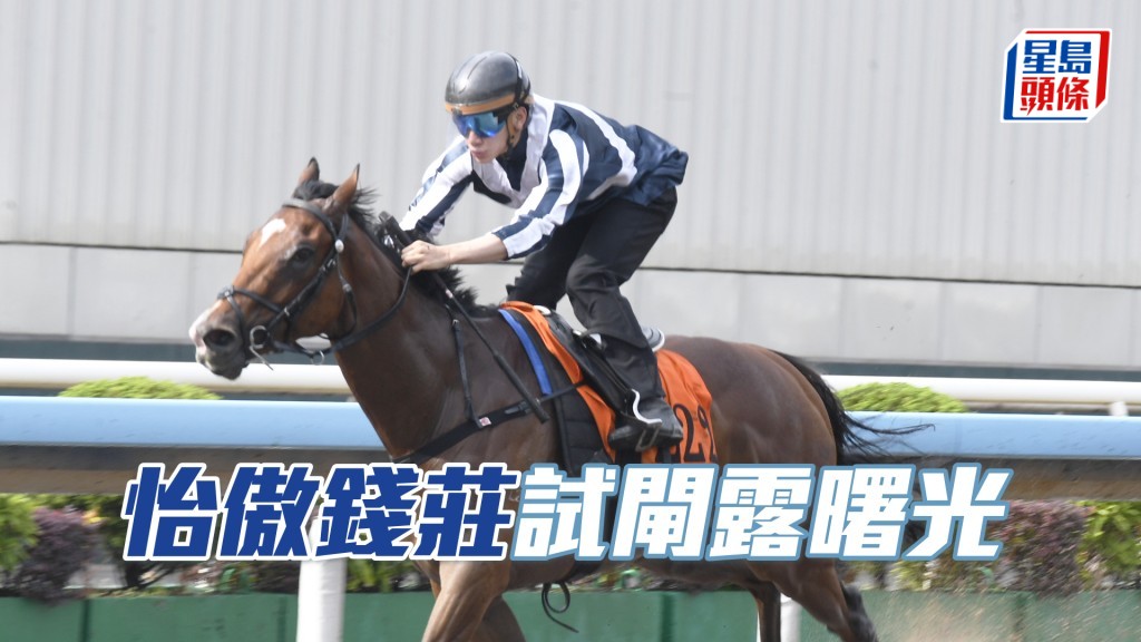 「怡傲钱庄」最近试闸走势强劲，看来已适应香港环境。