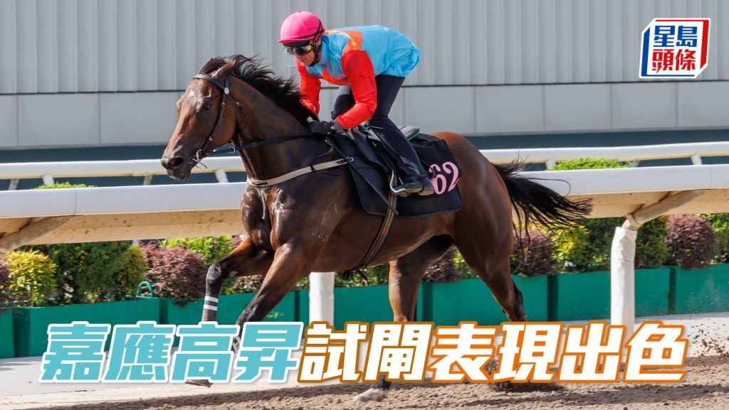 「嘉應高昇」今早試泥閘沿途走勢輕鬆，以輕描淡寫的姿態先過終點。