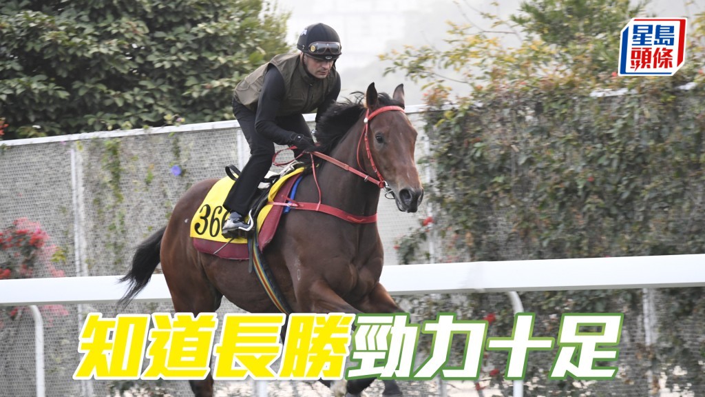 「知道長勝」狀態有進無退。