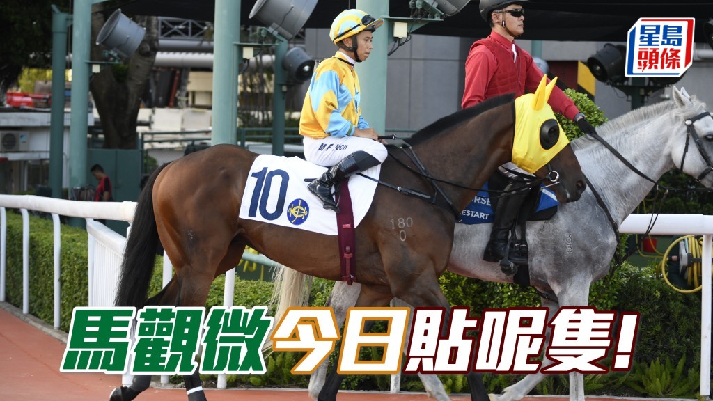 任賢頓變「勁先生