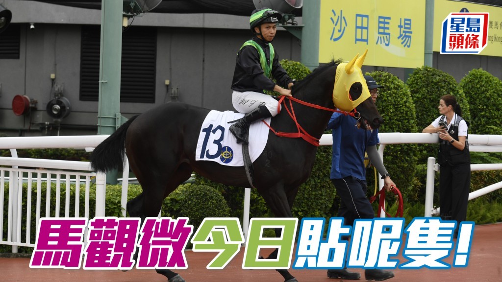 「靖哥哥」敏捷得手