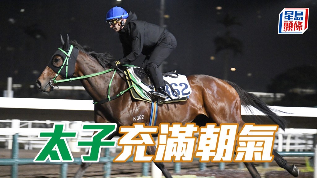 「太子」無再岳頭岳腦，進度出色。