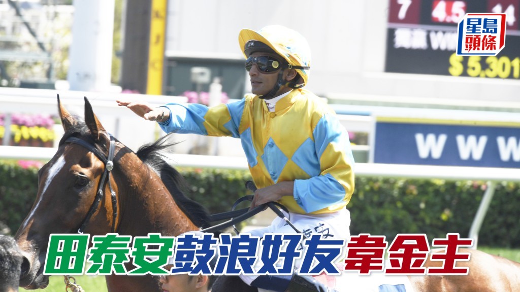 田泰安明日打吡大賽日共有八匹坐騎。