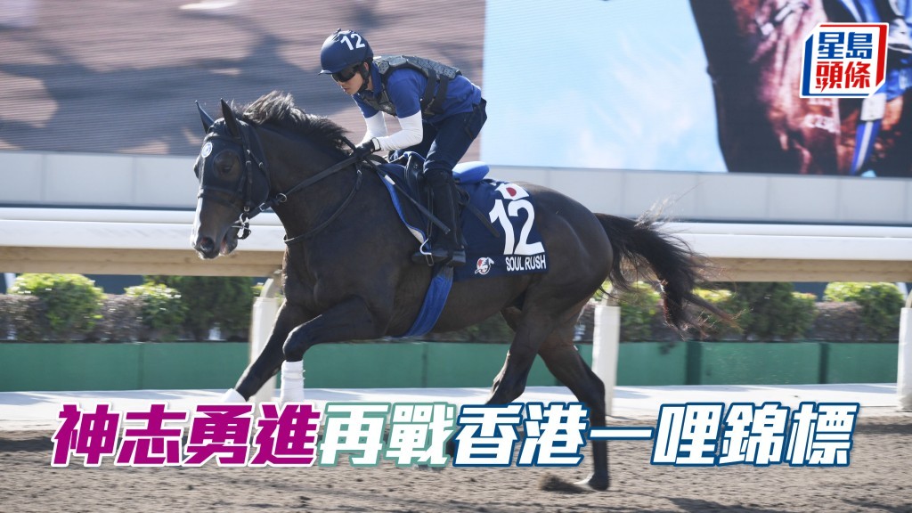 「神志勇進」其幕後已經接受香港賽馬會邀請，將參加下月八日沙田馬場舉行的香港一哩錦標。