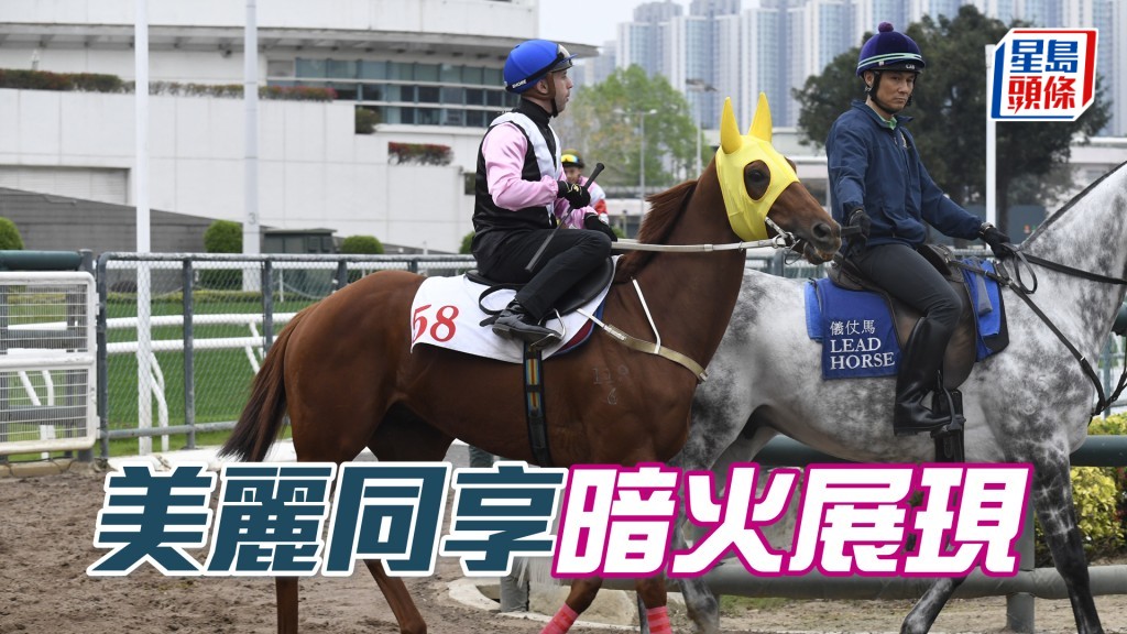 「美麗同享」步順輕巧，神態暢旺。