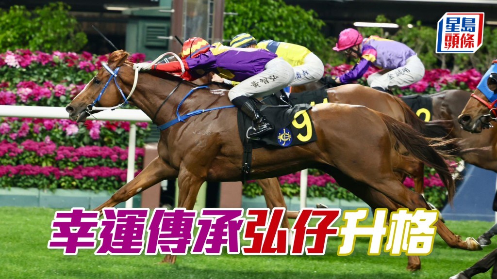 「幸運傳承」弘仔升格