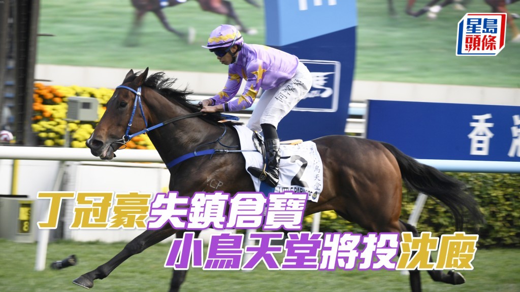 「小鳥天堂」將轉投沈廄。