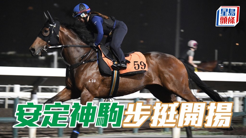 「安定神駒」助手踱兩圈，快慢由人試得乖巧，走勢硬朗步挺開揚，馬身結實毛色油潤，確認上力。