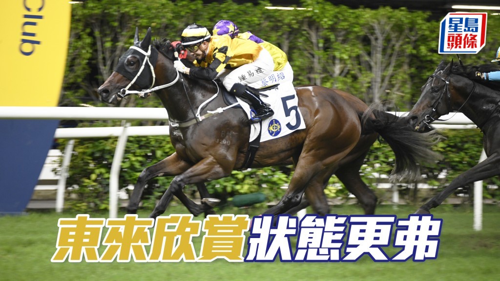 「東來欣賞」上場季內初出，狀態只有七成，跑得第二名表現已經很不錯。
