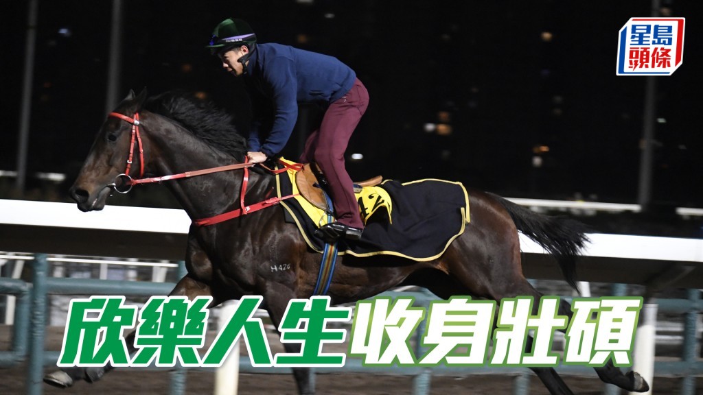 「欣樂人生」出腳力度充足,已具備爭勝水準。