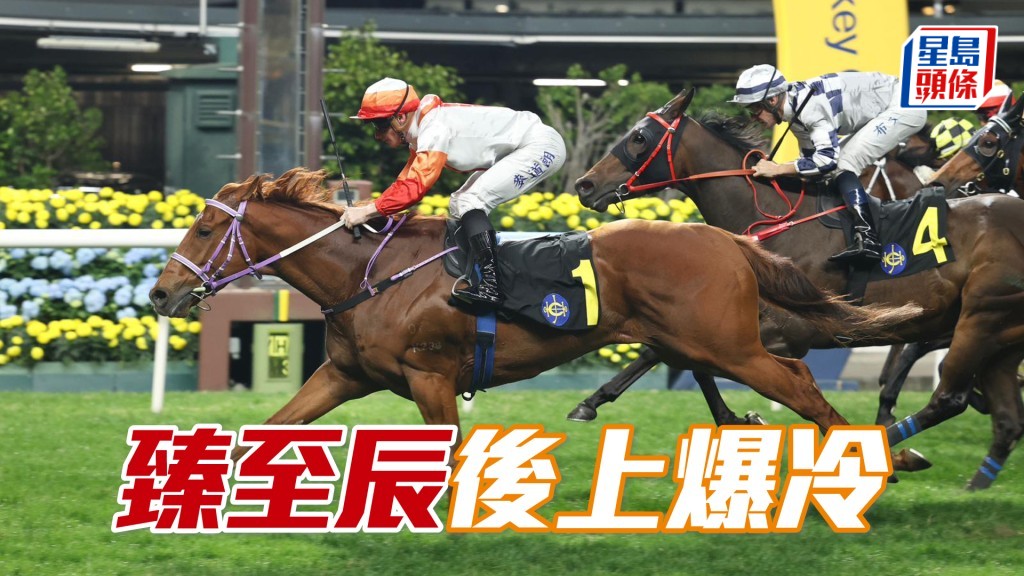 「臻至辰」後上爆冷