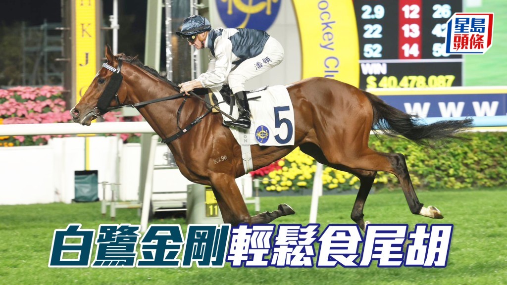 「白鹭金刚」轻松食尾胡