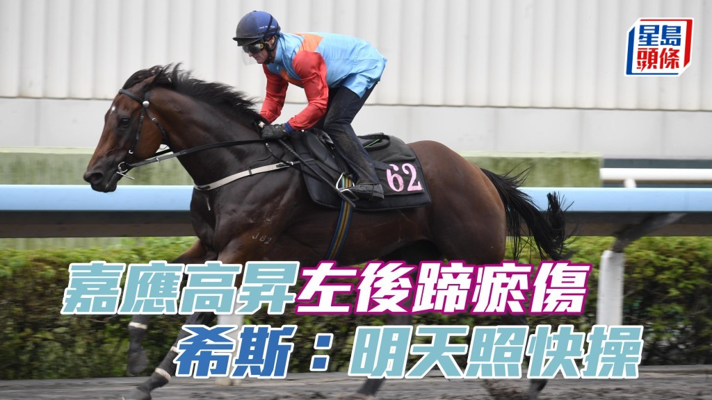 「嘉應高昇」左後蹄瘀傷 明天快操待觀察 