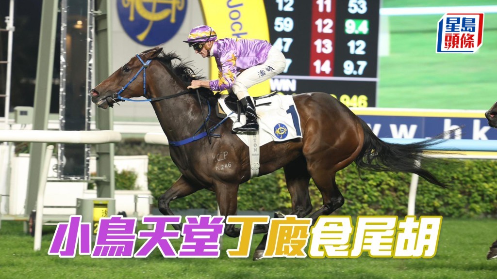 「小鳥天堂」丁廄食尾胡