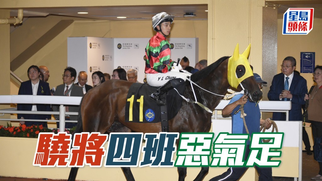 「驍將」排三檔甚佳，若早段能緊隨馬群，有力衝上贏馬。