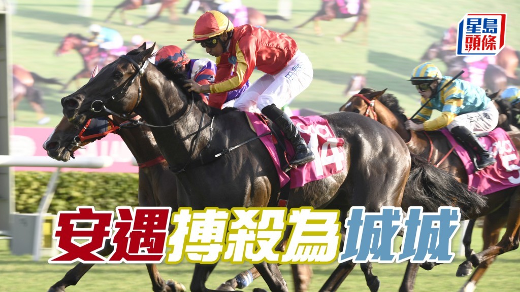  王賢訊希望可以從城城手中接過馬年盃。