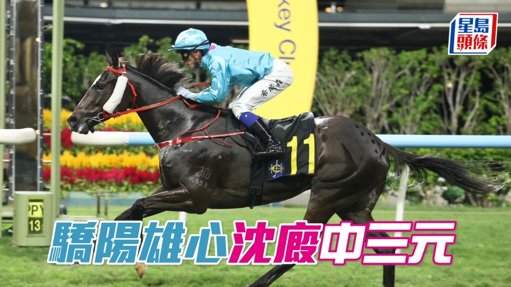 「驕陽雄心」沈廄中三元