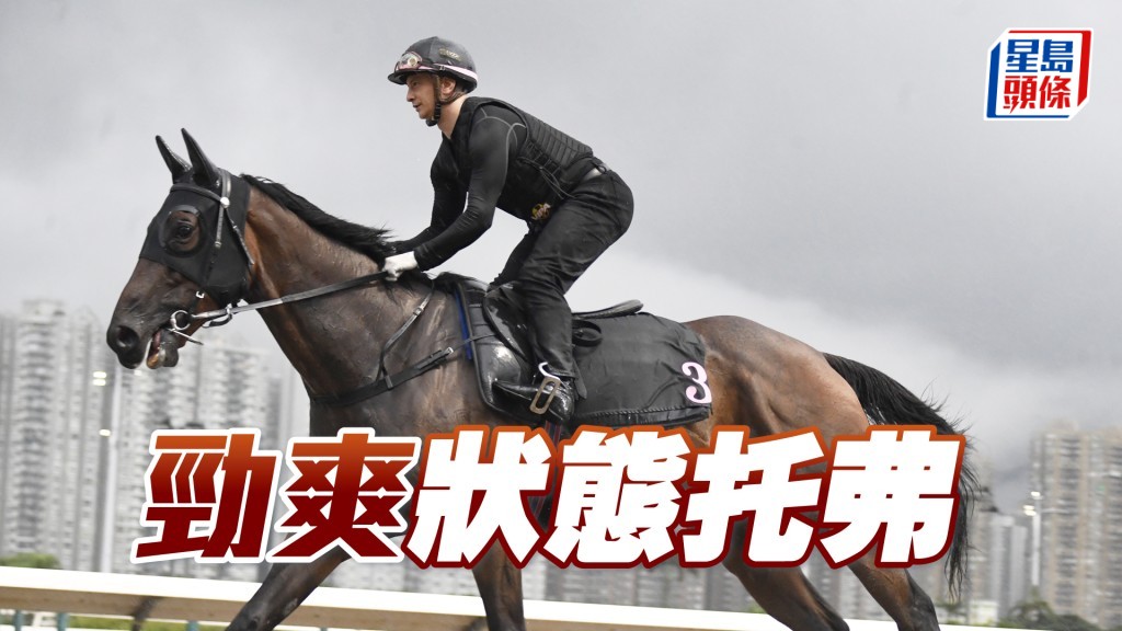 「勁爽」步幅開得好闊又夠勁度，火力比前再增強。