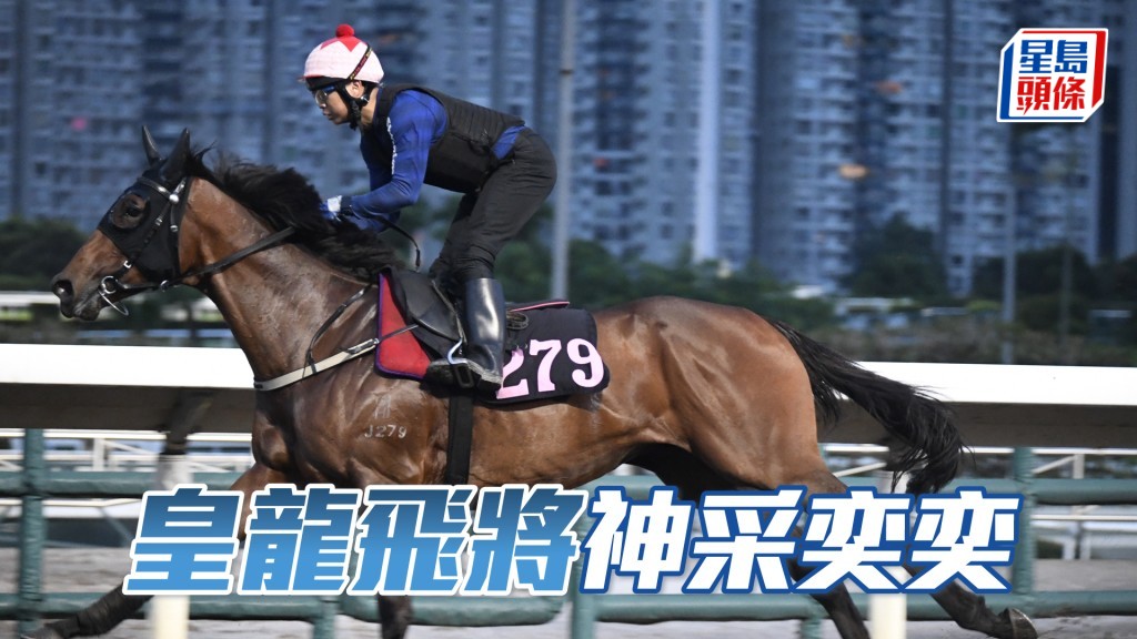 「皇龍飛將」近日試來出腳步挺貫注力足，神采奕奕，進度出色。