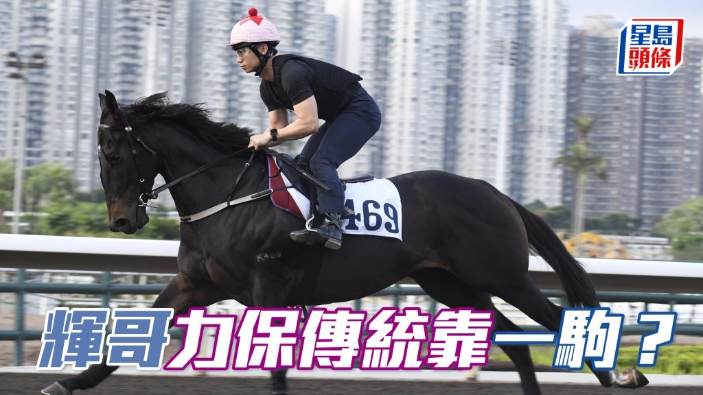 今朝「超寫意」(圖) 出圈前到機坪細圈踱步,姚本輝沿途在欄邊睇實也吸引。( 資料圖片)
