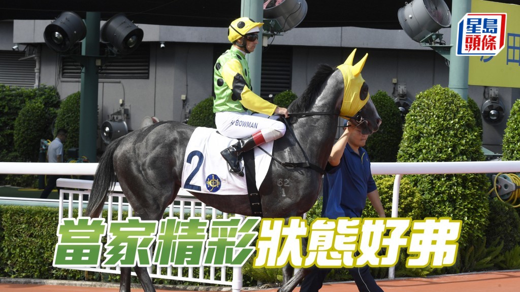 「當家精彩」明日將出爭第五場四班千二米香港鄉村俱樂部挑戰盃。