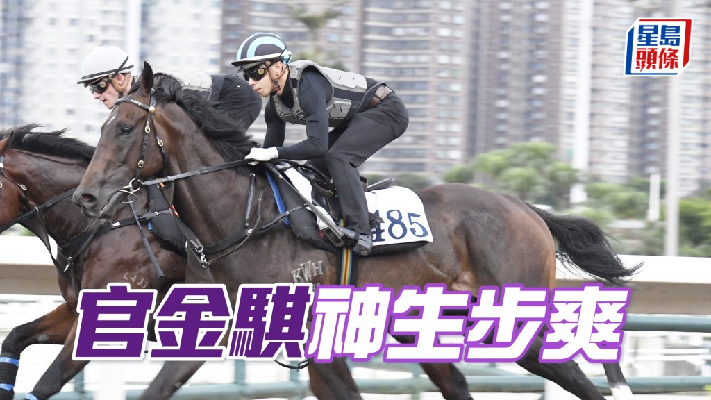 「官金騏」直路衝刺一氣呵成，出步爽勁力度貫注。 