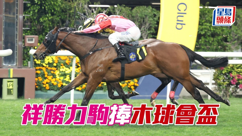 「祥勝力駒」捧木球會盃