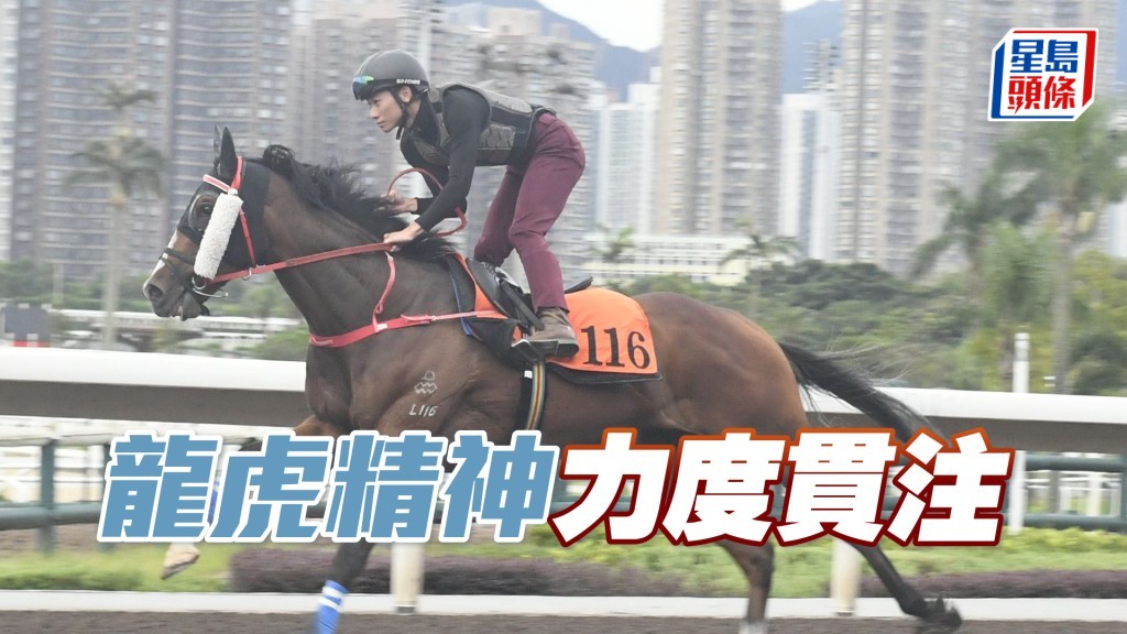 「龍虎精神」馬身靚好實淨，不斷轉好進度出色。