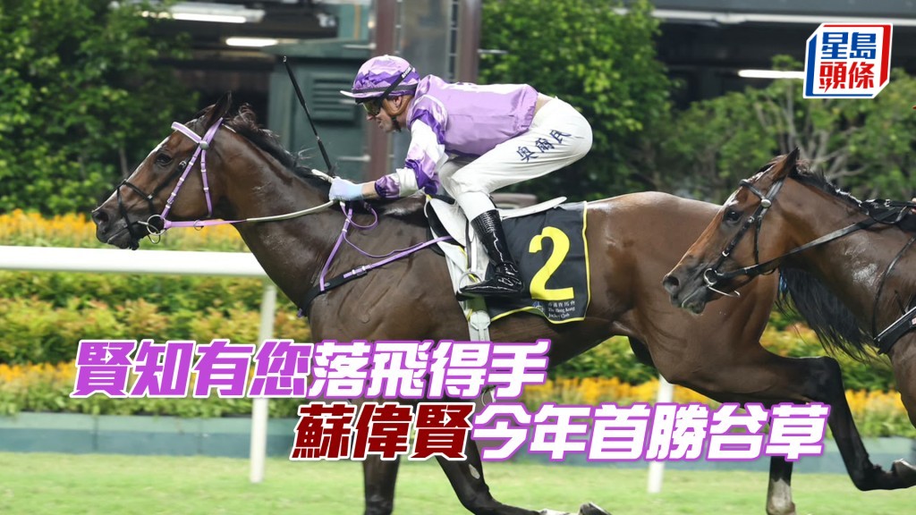 「贤知有您」落飞得手  苏伟贤今年首胜谷草