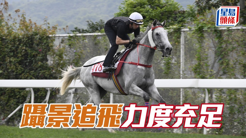 「躡景追飛」馬身夠壯唔瘦，火氣提升大有起色。