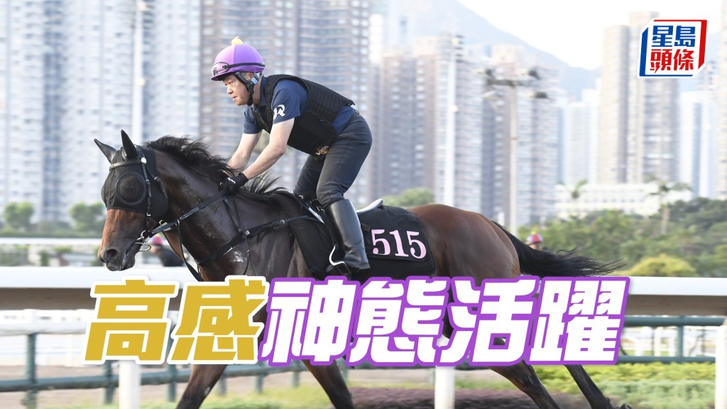 「高感」落脚轻快力度唔错，观感唔错。