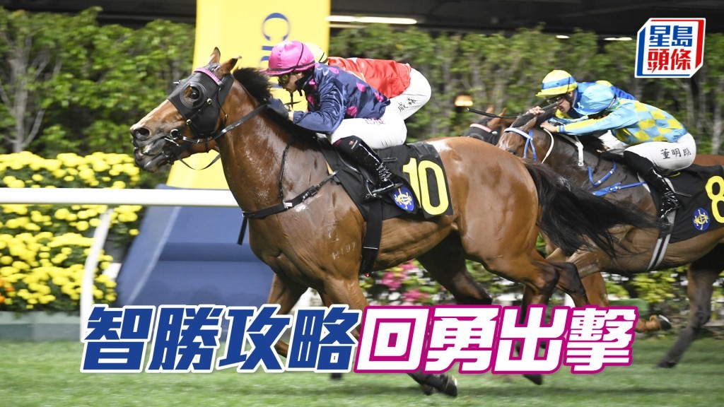 「智胜攻略」近期复课回复生气，今场对手实力非强，有力构成威胁。