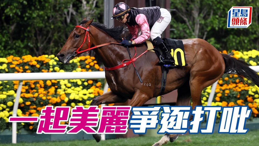 「一起美麗」爭逐寶馬香港打吡大賽「四歲功名 一生一次」殊榮。