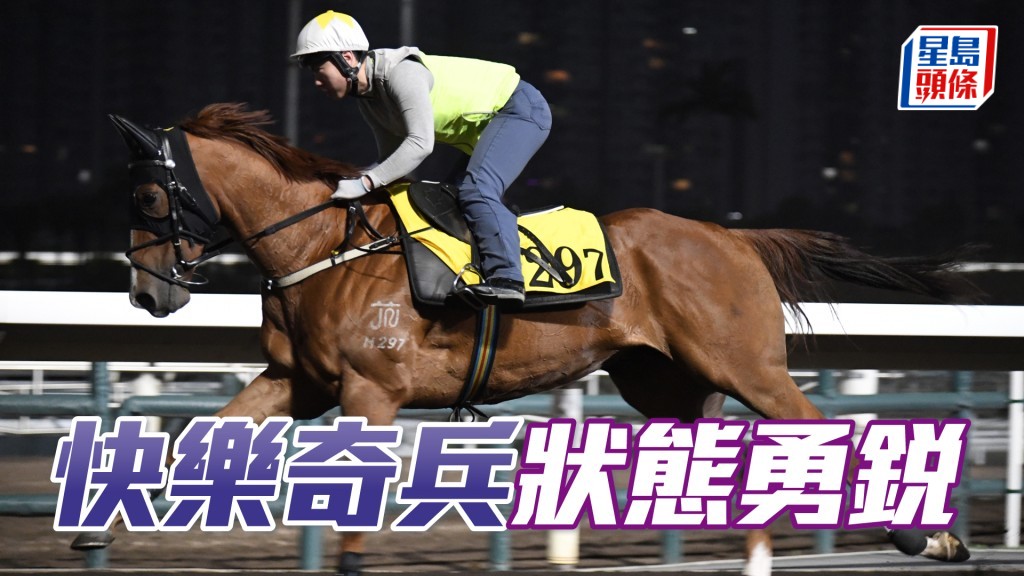 「快樂奇兵」近日出試時出腳步大有勁，神態活躍，狀態勇銳。